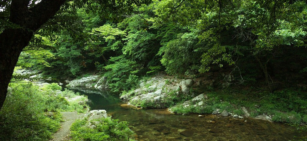 マイクロバブル　微細気泡で環境に優しい洗浄を考えてみませんか